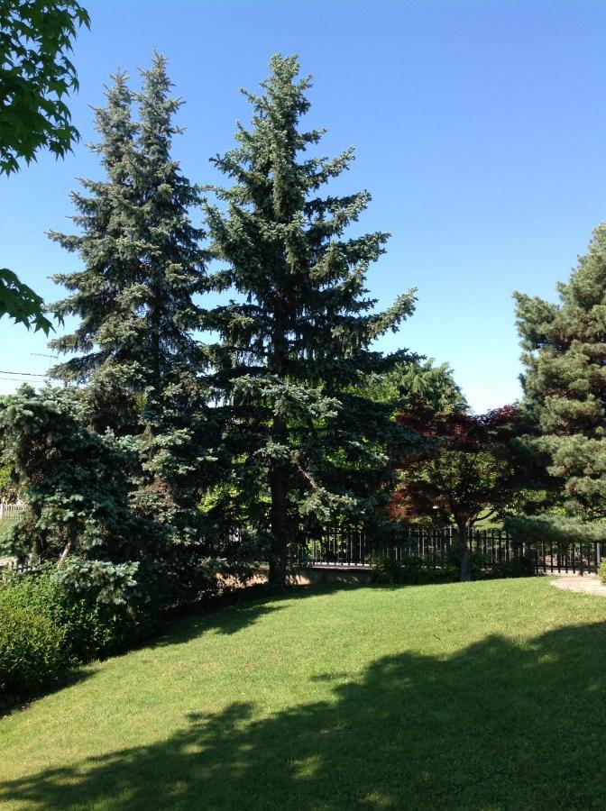 'L Sass Bed & Breakfast Боргоманеро Екстериор снимка